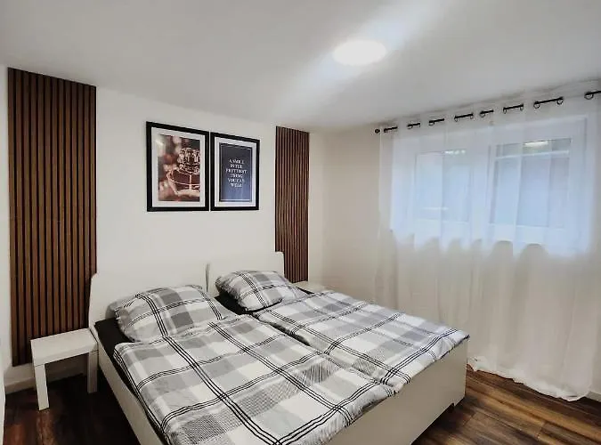 3 Zimmer Wohnung Eg - Zentrum
